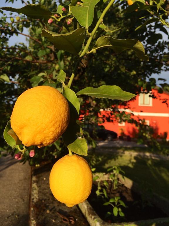 Agriturismo Ca' La Pergola Lugagnano Eksteriør billede
