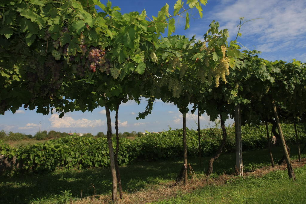 Agriturismo Ca' La Pergola Lugagnano Eksteriør billede